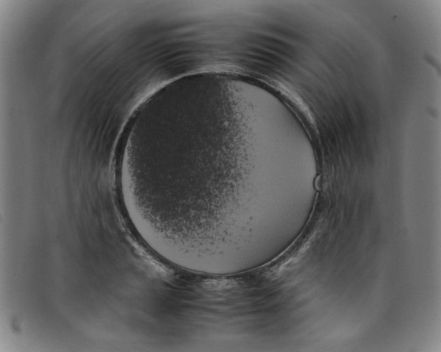 X0000097881037200804041609