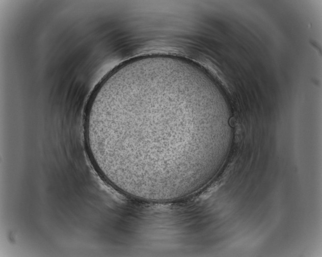 X0000097881038200804041609