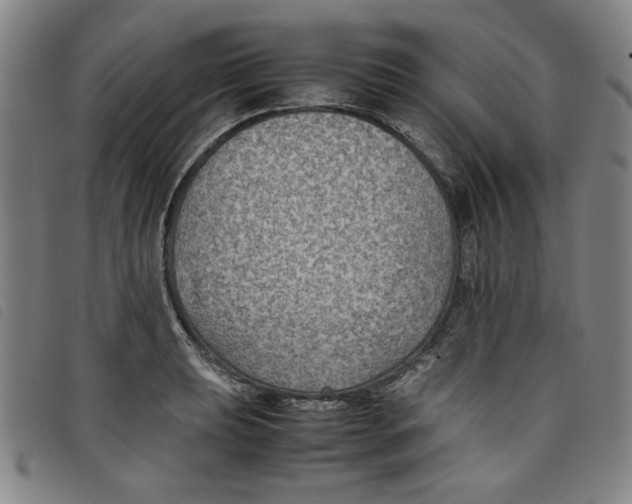 X0000097881039200804041609