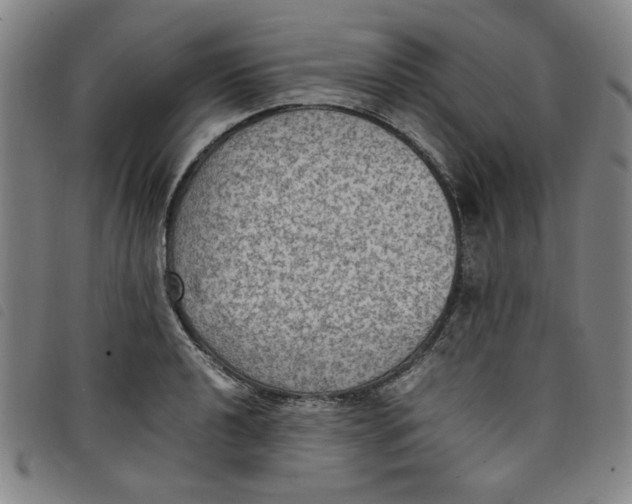 X0000097881040200804041609