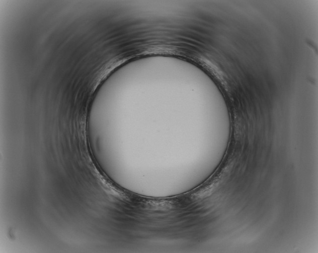 X0000097881041200804041609