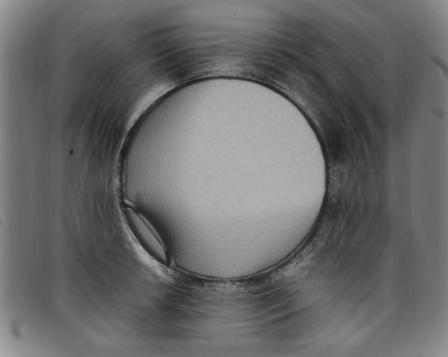 X0000097881042200804041609