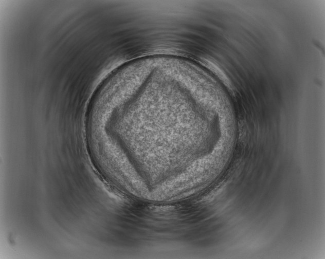 X0000097881043200804041609