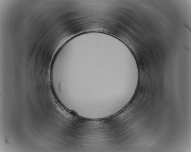 X0000097881044200804041609