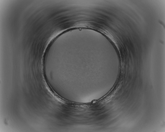 X0000097881045200804041609