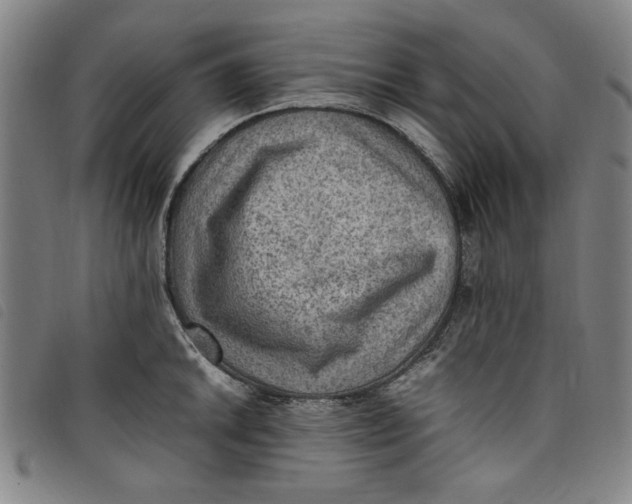 X0000097881046200804041609