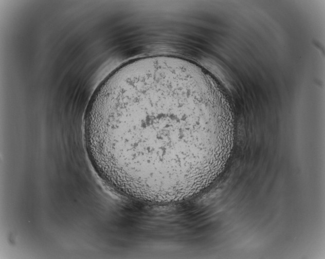 X0000097881047200804041609