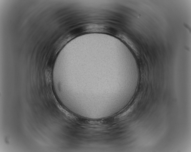 X0000097881049200804041609