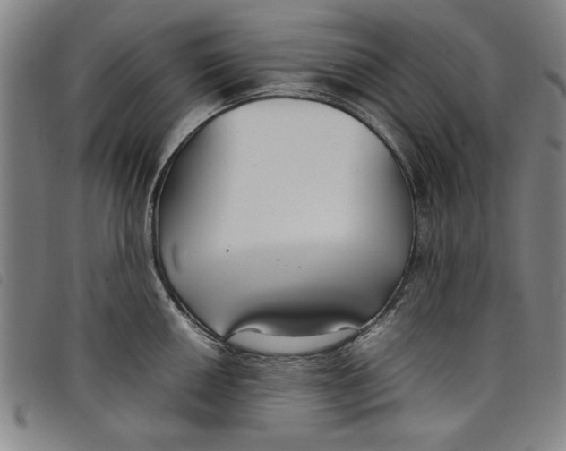 X0000097881050200804041609