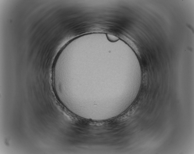 X0000097881051200804041609