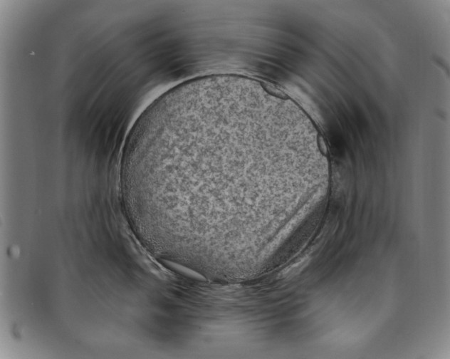 X0000097881052200804041609