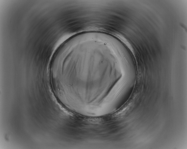 X0000097881053200804041609