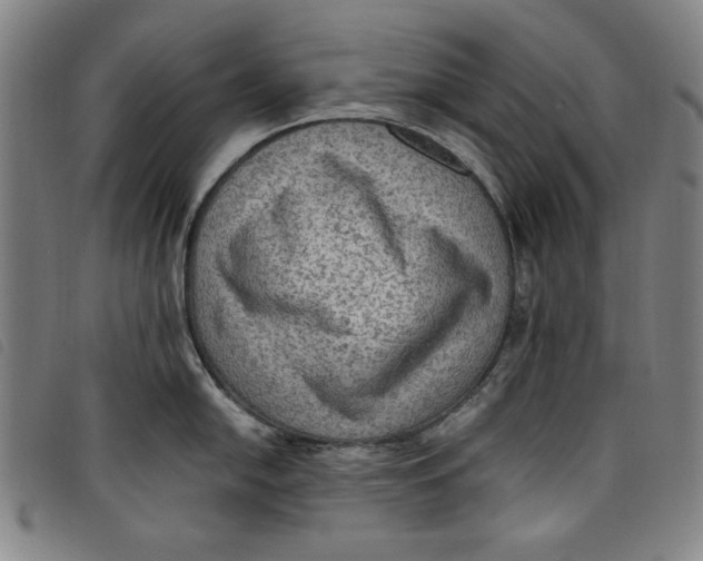 X0000097881054200804041609