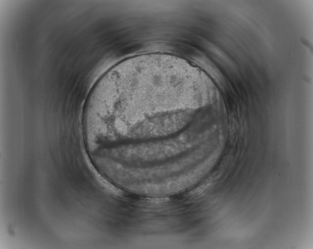 X0000097881055200804041609