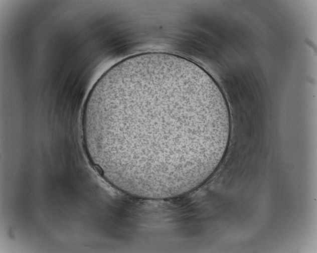 X0000097881056200804041609