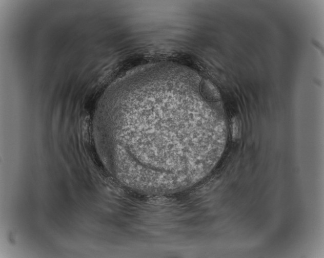 X0000097881059200804041609