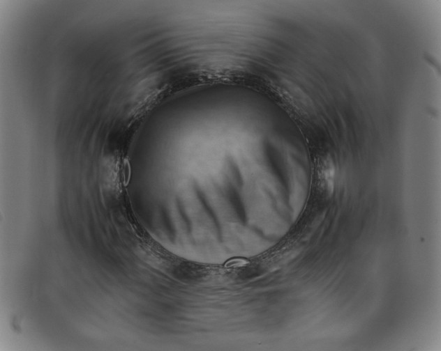 X0000097881060200804041609