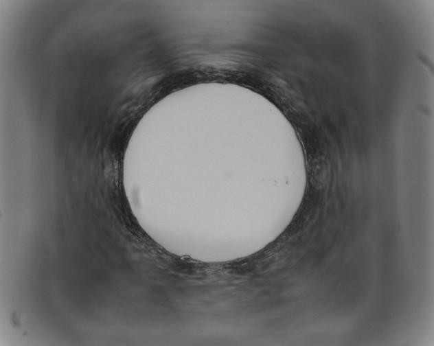 X0000097881061200804041609