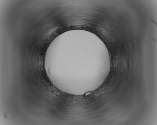 X0000097881062200804041609