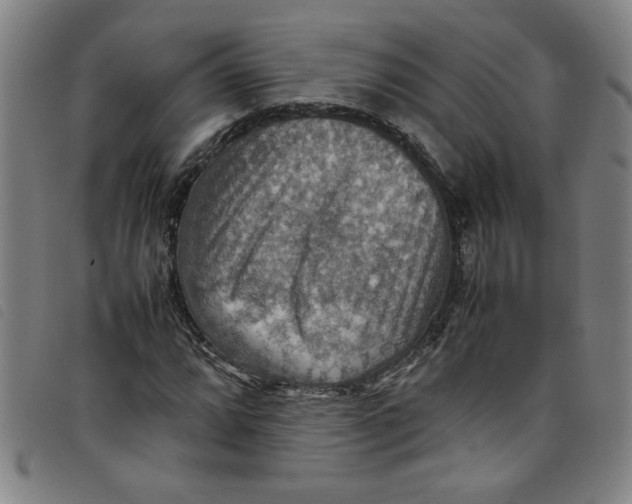 X0000097881064200804041609