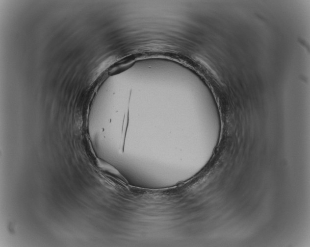 X0000097881065200804041609