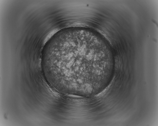 X0000097881066200804041609