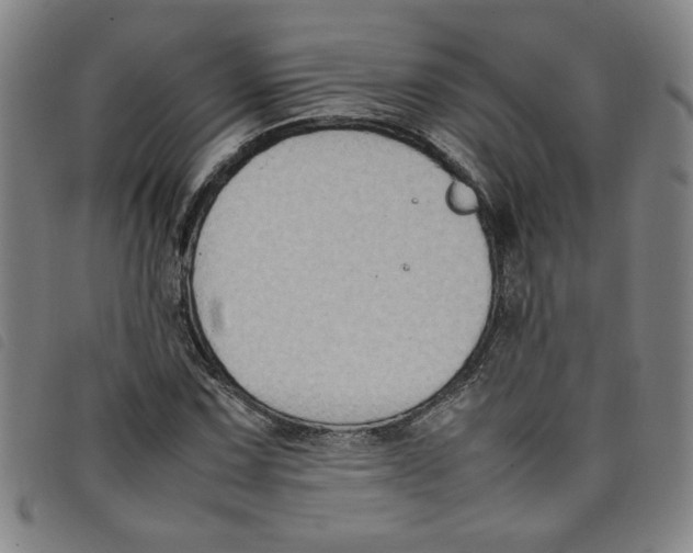 X0000097881067200804041609