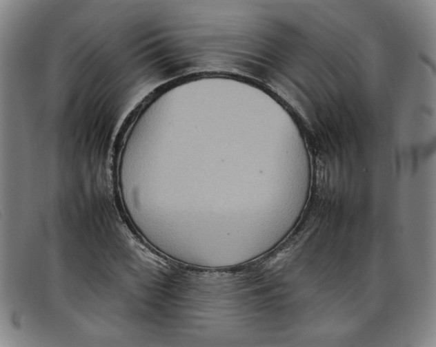 X0000097881068200804041609