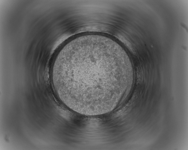 X0000097881070200804041609