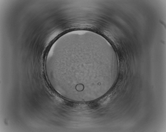 X0000097881071200804041609