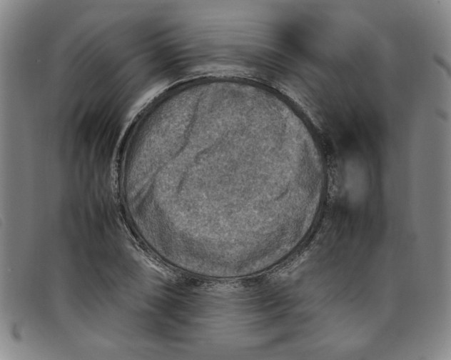 X0000097881074200804041609