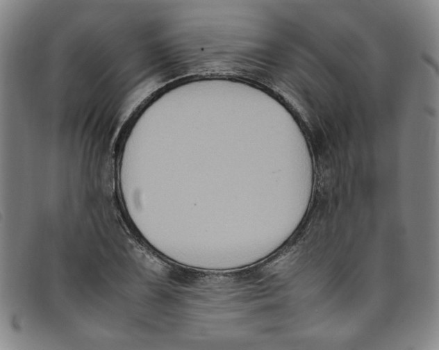 X0000097881075200804041609