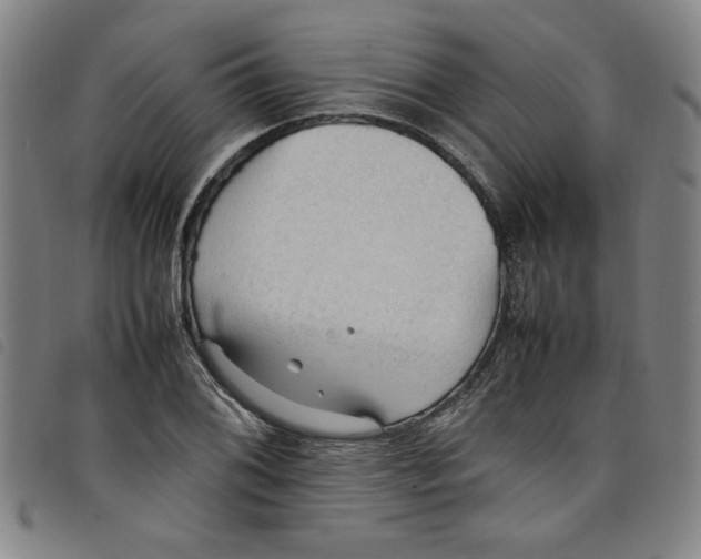 X0000097881076200804041609