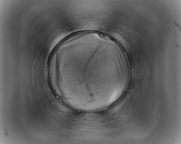 X0000097881077200804041608