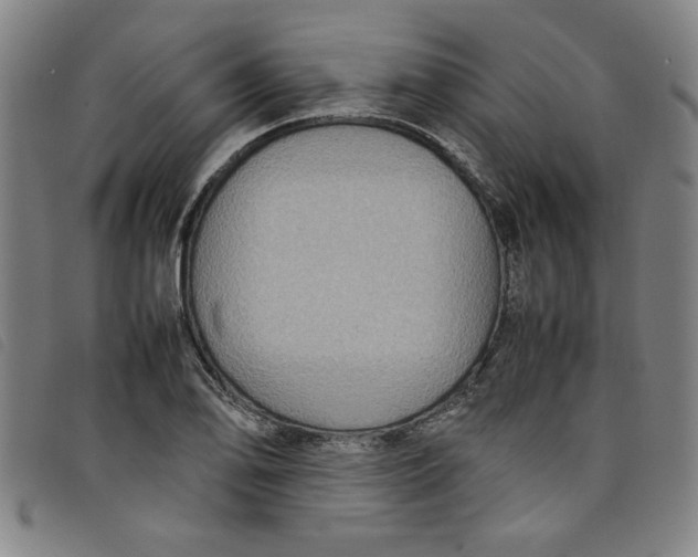 X0000097881078200804041608