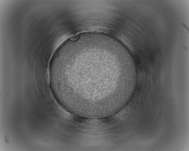 X0000097881079200804041608