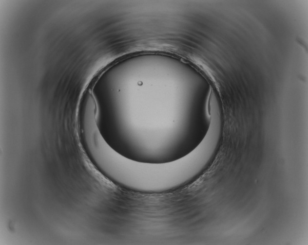 X0000097881080200804041608