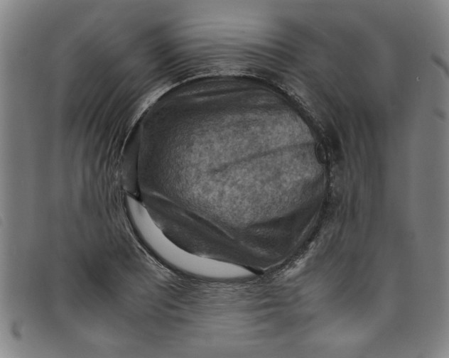 X0000097881081200804041608