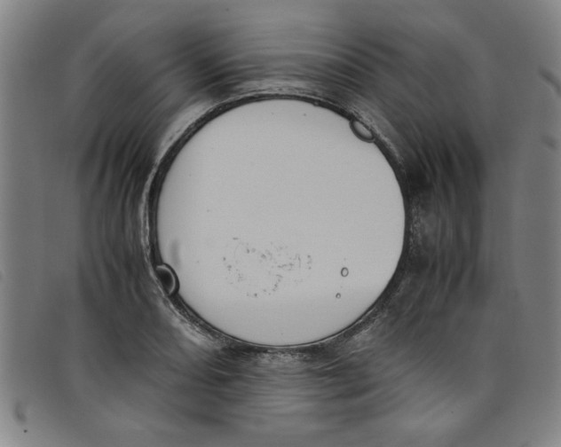 X0000097881082200804041608