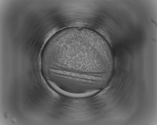 X0000097881083200804041608