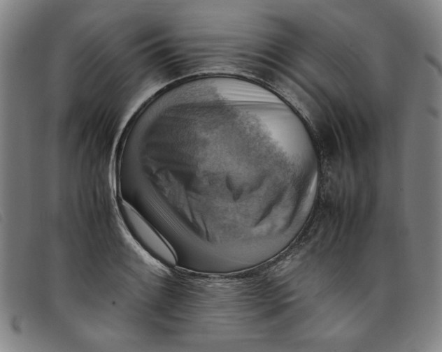 X0000097881084200804041608