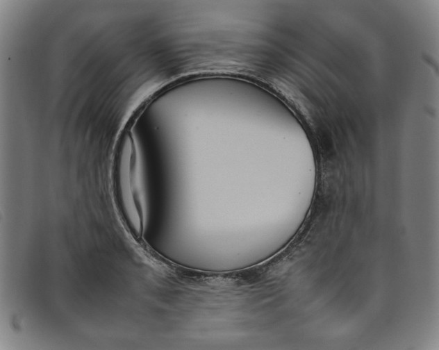 X0000097881085200804041608