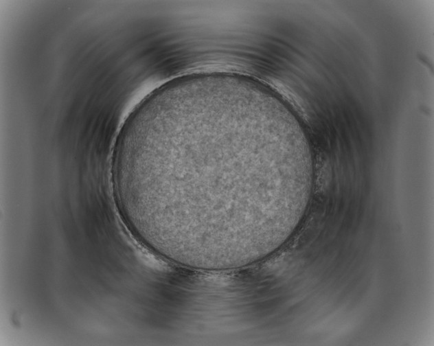 X0000097881086200804041608