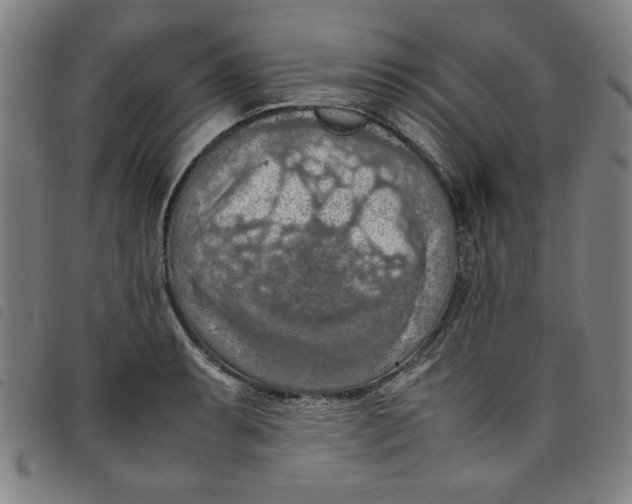 X0000097881087200804041608