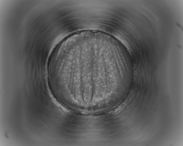 X0000097881088200804041608