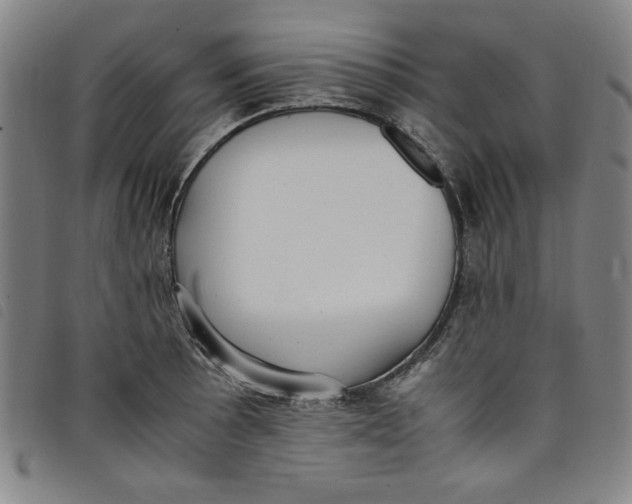 X0000097881089200804041608