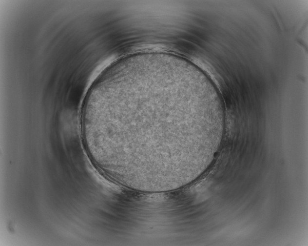 X0000097881090200804041608