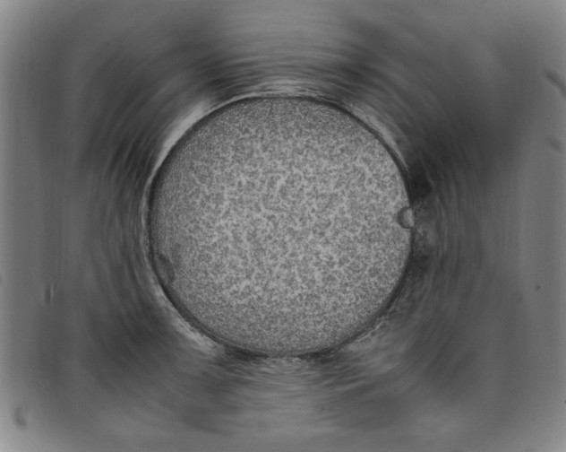 X0000097881091200804041608