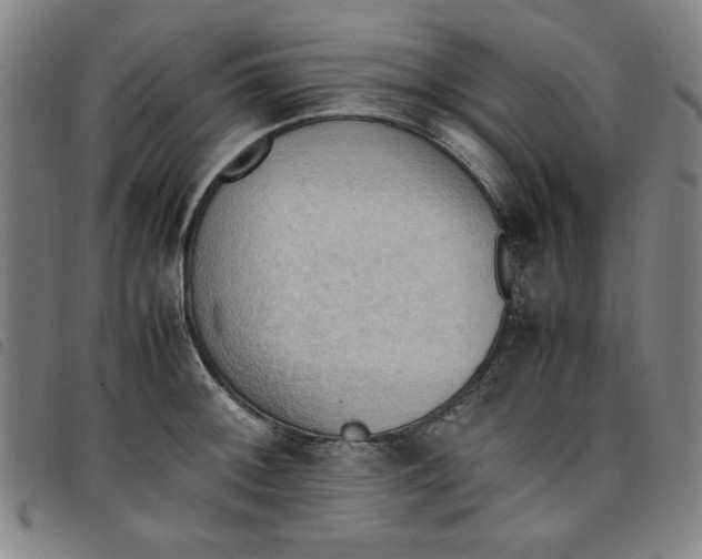 X0000097881092200804041608