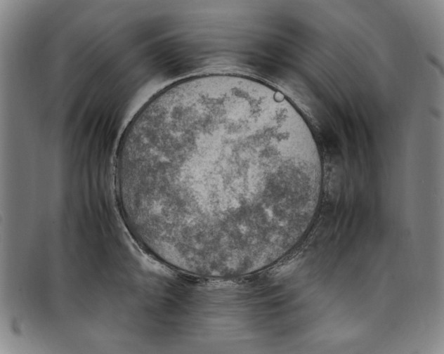 X0000097881094200804041608